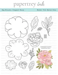 Big Blooms: Elegant Rose