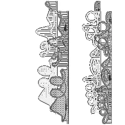 Thrill Ride Acetate