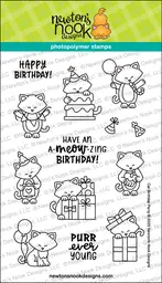 Cat Birthday Party