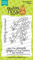 Christmas Cactus