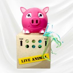 Pig Pet Press