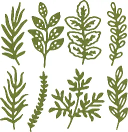 Harvest Foliage