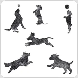 Dogs Playing