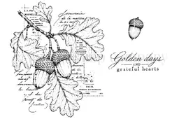 Background of the Month: Acorn Almanac Aug 2026