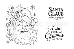 A Wink From Santa