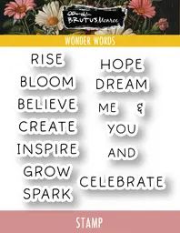 Wonder Words