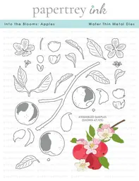 Into the Blooms: Apples