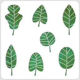 Simple Leaves
