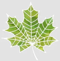 Webby Leaf