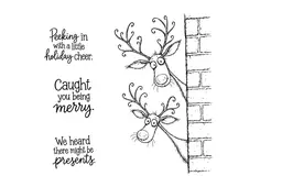 The Merry Looky-Loos