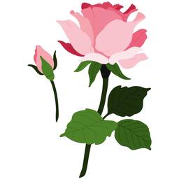 Lovely Layers - Roses