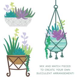 Succulent Garden Builder