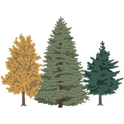 Trees - Lovely Layers