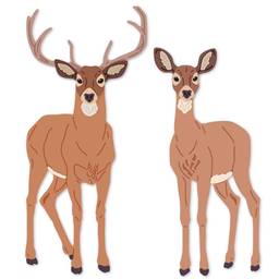 Lovely Layers: Deer