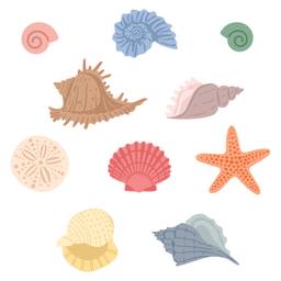 Small Seashells - Lovely Layers