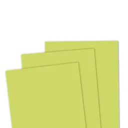 TE Premium Cardstock - Kiwi