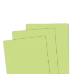TE Premium Cardstock - Granny Smith