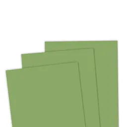 TE Premium Cardstock - Peapod