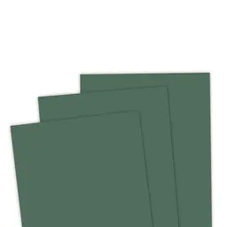 TE Premium Cardstock - Jalapeño