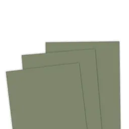 TE Premium Cardstock - Green Tea