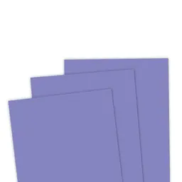 TE Premium Cardstock - Dried Fig