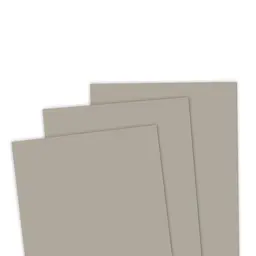 TE Premium Cardstock - Mushroom