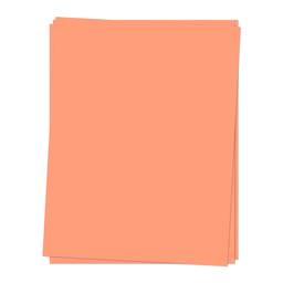 Sorbet