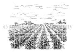 Background of the Month: Meadowland Jun 2023