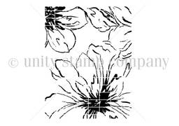 Background of the Month: Inked Florals Jan 2021