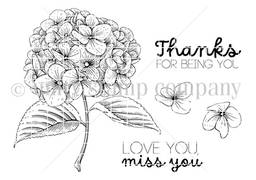 Whit Kit: Hydrangea Love Jun 2024