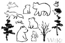Whit Kit: Woodland Wonders Aug 2025