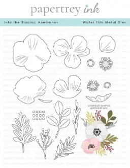 Into the Blooms: Anemones