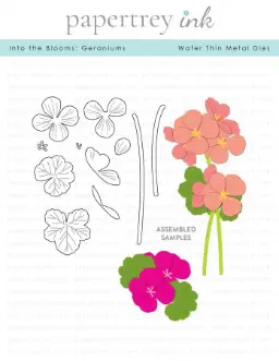 Into the Blooms: Geraniums