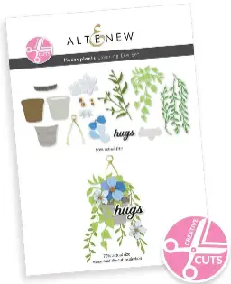Creative Cuts: Houseplants