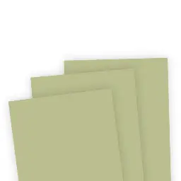 TE Premium Cardstock - Honeydew Melon