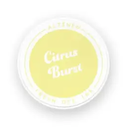 Citrus Burst Fresh Dye Ink