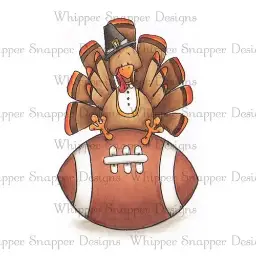 Football Turkey