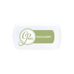 Succulent