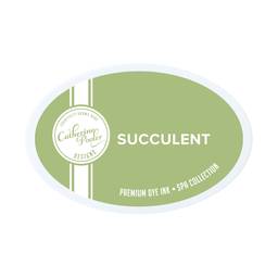 Succulent