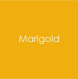 Marigold