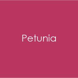 Petunia