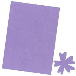 Aubergine