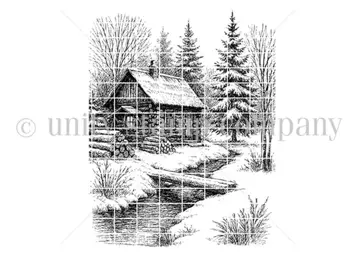 Stories from the Cabin