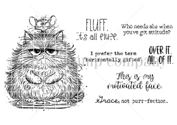 All the Fluff Pissy Kitty