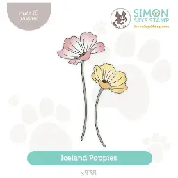 Iceland Poppies