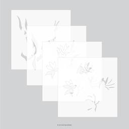 Long Line Lilies