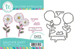 Delicate Daisy Combo
