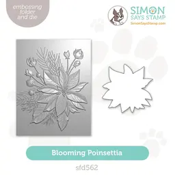 Blooming Poinsettia