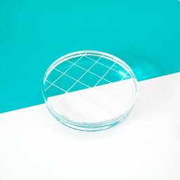 Acrylic Grid Stamping Block 2-3/4" Round