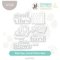 Bad Day Good Vibes